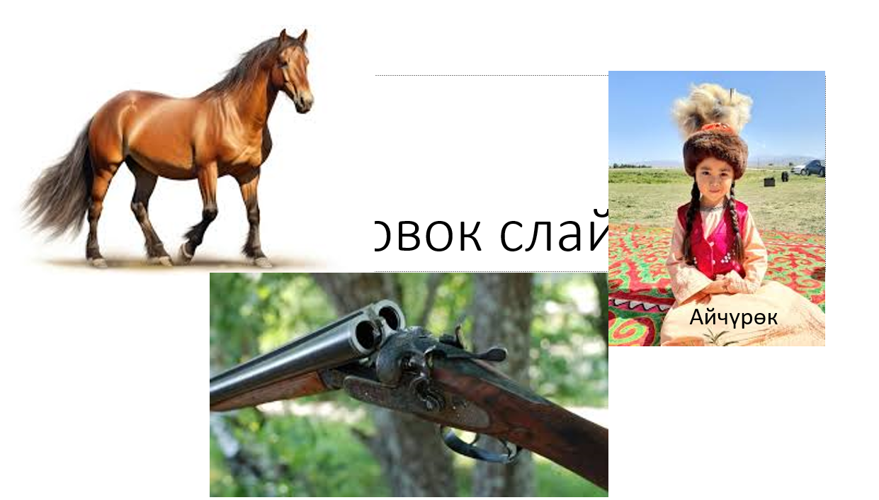 Омонимдер